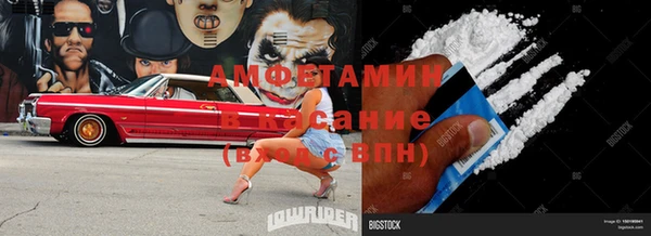 прущие грибы Верея