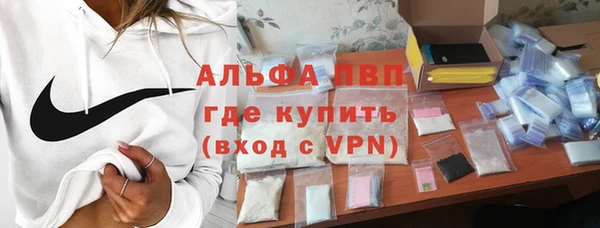 прущие грибы Верея