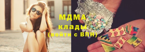 прущие грибы Верея