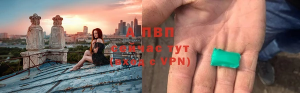 прущие грибы Верея