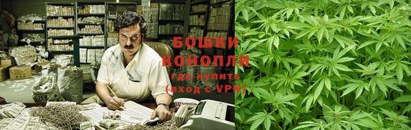 прущие грибы Верея