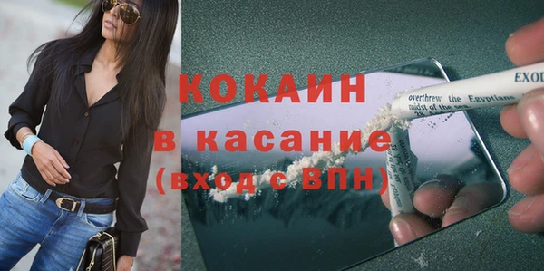 прущие грибы Верея