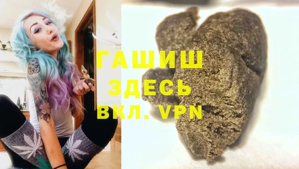 прущие грибы Верея