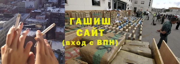 прущие грибы Верея
