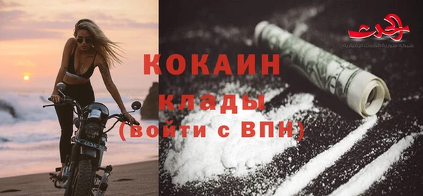 прущие грибы Верея