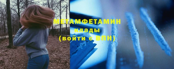 прущие грибы Верея